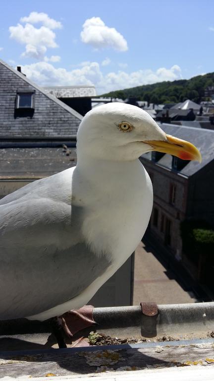 Les Galets Bleus Étretat Exterior foto
